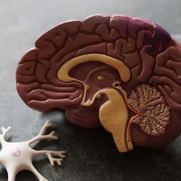 NEURO2