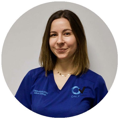 VET_0001_EQUIPE_0000s_0015_Dr-ROCHE-CATHOLY-V2