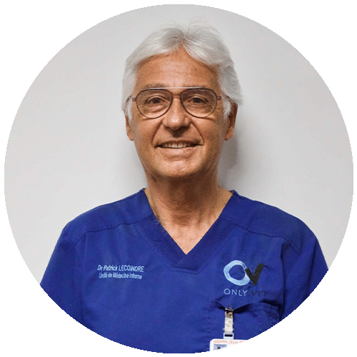 VET_0003_EQUIPE_0000s_0013_Dr-LECOINDRE-Patrick-V2