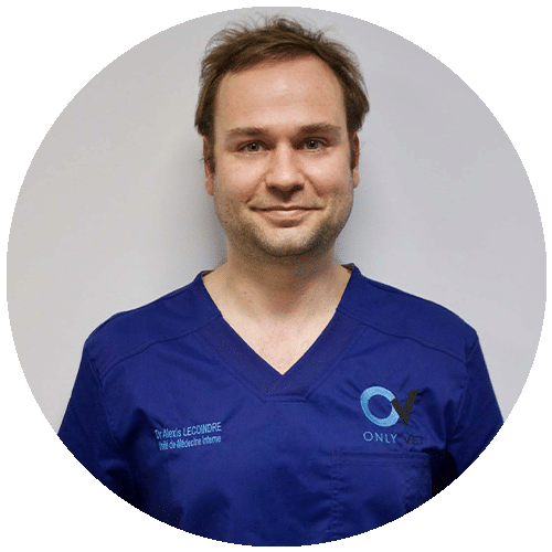 VET_0004_EQUIPE_0000s_0012_Dr-LECOINDRE-Alexis