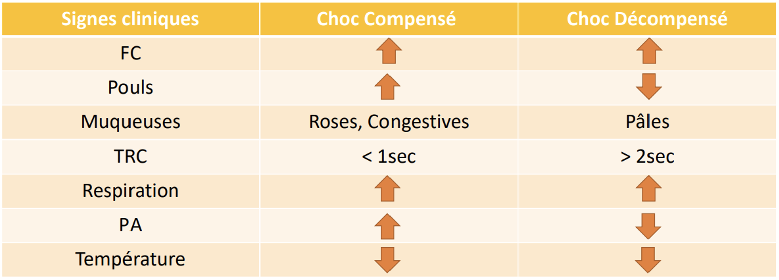 Tableau animale en état de choc – OnlyVet Tableau animale en état de choc - OnlyVet