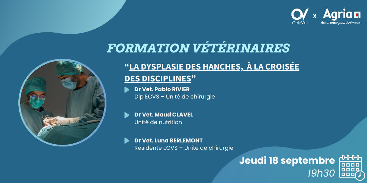 formation chirurgie formation chirurgie