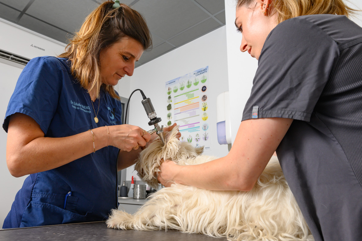 MENTION OBLIGATOIRE PIXYMEDIA 2021