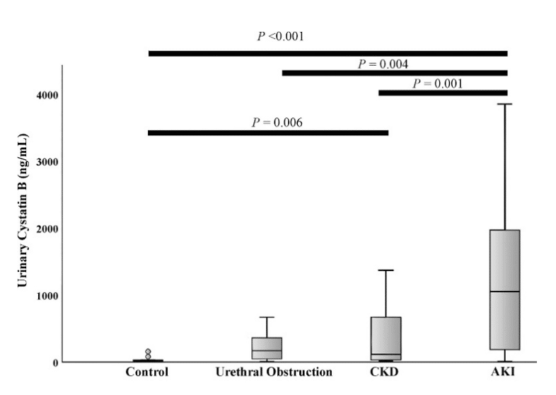 Figure 1 : Diagramme à moustaches représentant le dosage médian et les variations interquartiles de Cystatine B urinaire chez les chats atteints de diverses maladies des voies urinaires.