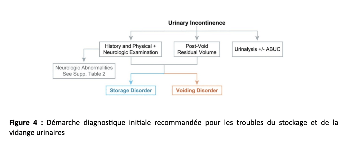 Démarche diagnostique initiale recommandée pour les troubles du stockage et de la vidange urinaires Démarche diagnostique initiale recommandée pour les troubles du stockage et de la vidange urinaires