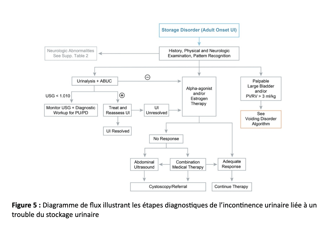 Diagramme de flux illustrant les étapes diagnostiques de l’incontinence urinaire liée à un trouble du stockage urinaire Diagramme de flux illustrant les étapes diagnostiques de l’incontinence urinaire liée à un trouble du stockage urinaire