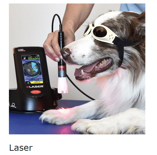 Physiothérapie laser
