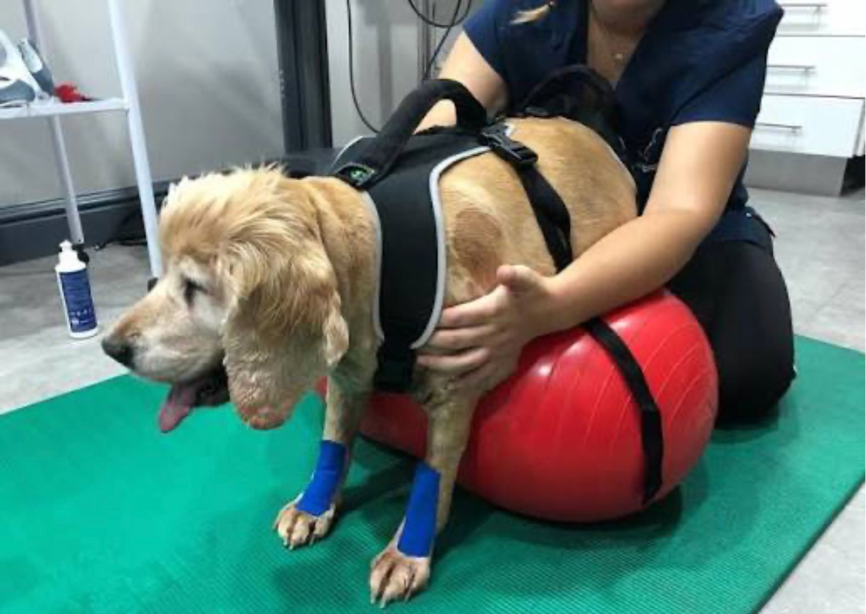 Physiotherapie